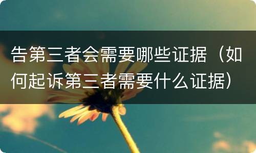 告第三者会需要哪些证据（如何起诉第三者需要什么证据）