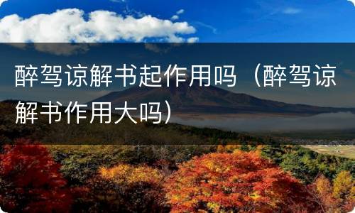 醉驾谅解书起作用吗（醉驾谅解书作用大吗）