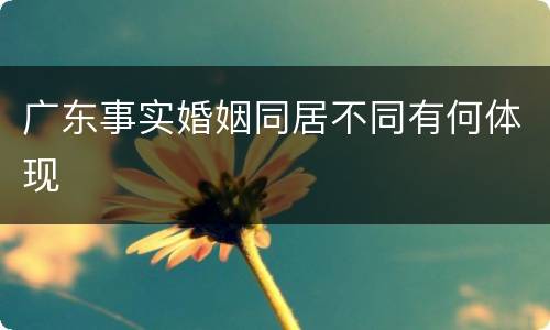 广东事实婚姻同居不同有何体现