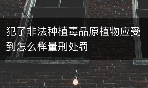 犯了非法种植毒品原植物应受到怎么样量刑处罚