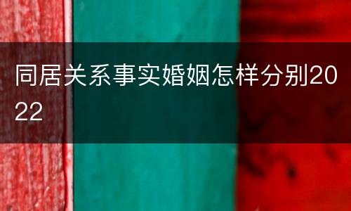 同居关系事实婚姻怎样分别2022