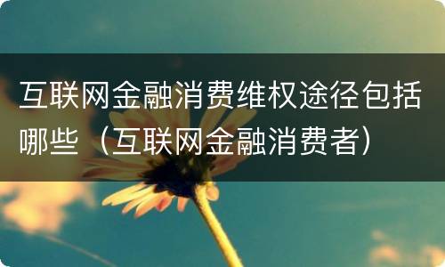 互联网金融消费维权途径包括哪些（互联网金融消费者）