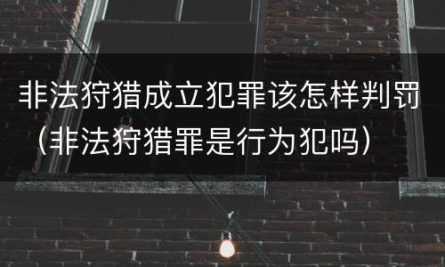 非法狩猎成立犯罪该怎样判罚（非法狩猎罪是行为犯吗）