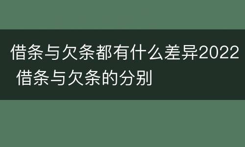 借条与欠条都有什么差异2022 借条与欠条的分别