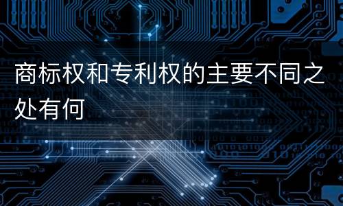 商标权和专利权的主要不同之处有何