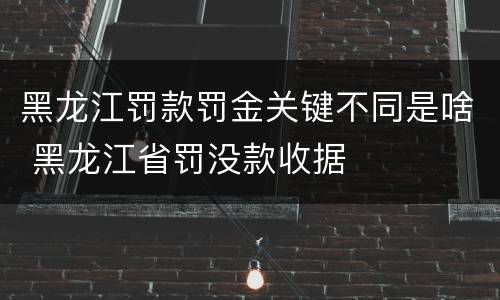黑龙江罚款罚金关键不同是啥 黑龙江省罚没款收据