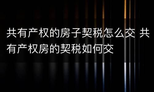 共有产权的房子契税怎么交 共有产权房的契税如何交