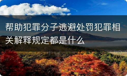 帮助犯罪分子逃避处罚犯罪相关解释规定都是什么