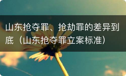 山东抢夺罪、抢劫罪的差异到底（山东抢夺罪立案标准）
