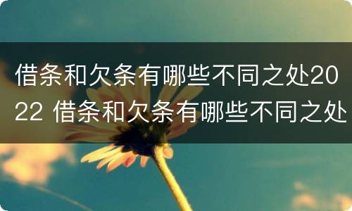 借条和欠条有哪些不同之处2022 借条和欠条有哪些不同之处