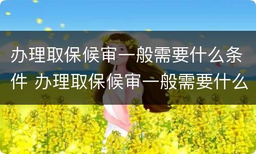 办理取保候审一般需要什么条件 办理取保候审一般需要什么条件呢