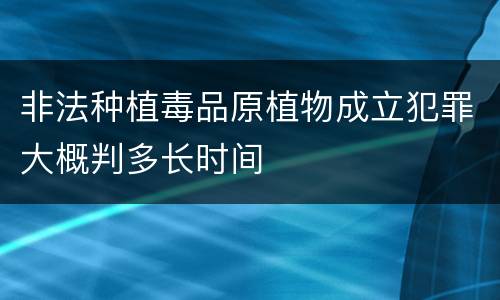 非法种植毒品原植物成立犯罪大概判多长时间