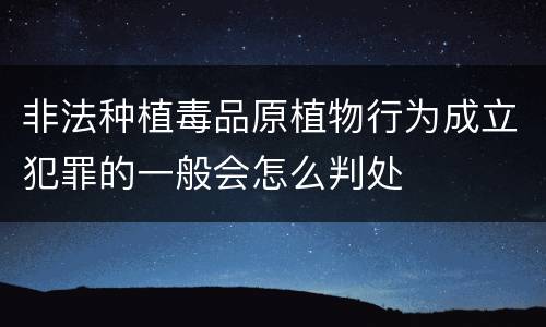 非法种植毒品原植物行为成立犯罪的一般会怎么判处