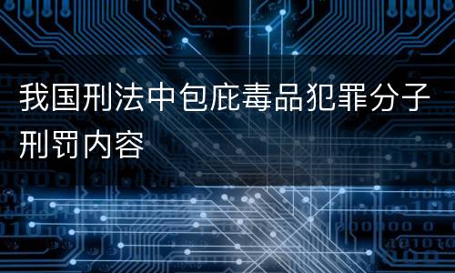 我国刑法中包庇毒品犯罪分子刑罚内容