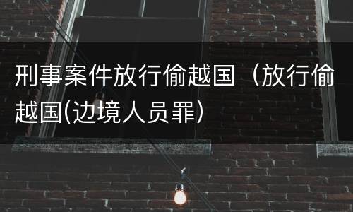 刑事案件放行偷越国（放行偷越国(边境人员罪）