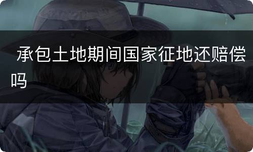  承包土地期间国家征地还赔偿吗
