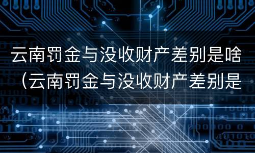 云南罚金与没收财产差别是啥（云南罚金与没收财产差别是啥呀）