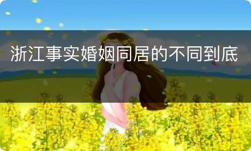浙江事实婚姻同居的不同到底