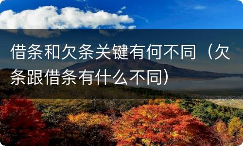 借条和欠条关键有何不同(欠条跟借条有什么不同)