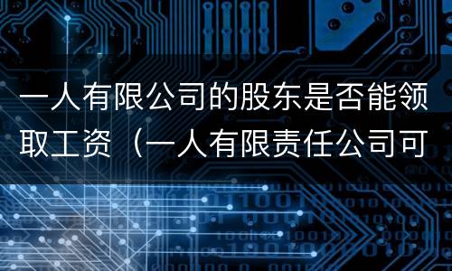 一人有限公司的股东是否能领取工资（一人有限责任公司可以给股东发工资吗）