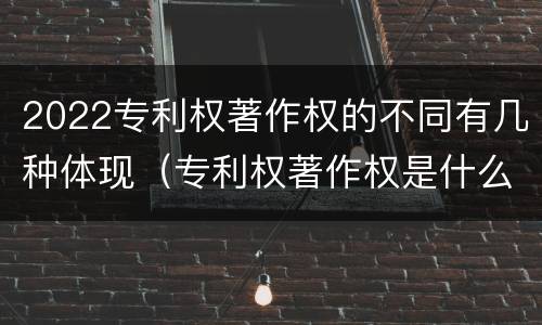 2022专利权著作权的不同有几种体现（专利权著作权是什么）