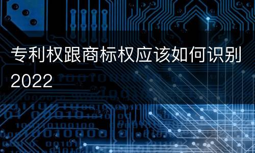 专利权跟商标权应该如何识别2022