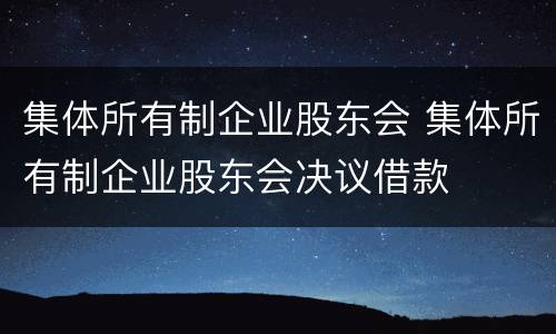 集体所有制企业股东会 集体所有制企业股东会决议借款