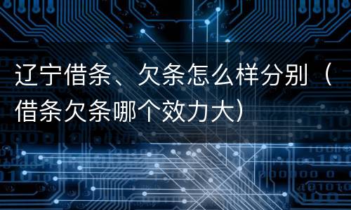辽宁借条、欠条怎么样分别（借条欠条哪个效力大）