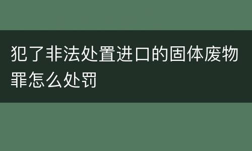 犯了非法处置进口的固体废物罪怎么处罚