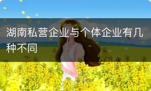 湖南私营企业与个体企业有几种不同