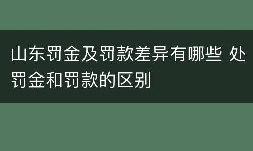 山东罚金及罚款差异有哪些 处罚金和罚款的区别