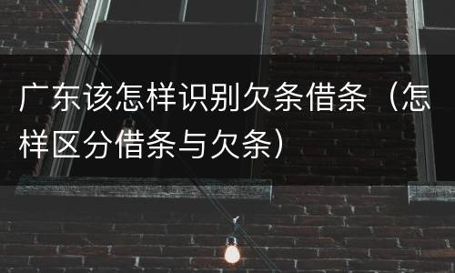 广东该怎样识别欠条借条（怎样区分借条与欠条）
