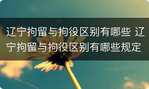 辽宁拘留与拘役区别有哪些 辽宁拘留与拘役区别有哪些规定