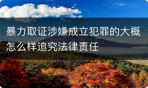 暴力取证涉嫌成立犯罪的大概怎么样追究法律责任