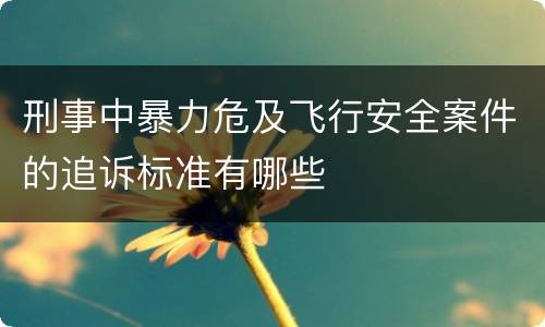 刑事中暴力危及飞行安全案件的追诉标准有哪些