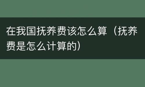 在我国抚养费该怎么算（抚养费是怎么计算的）