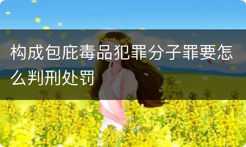 构成包庇毒品犯罪分子罪要怎么判刑处罚