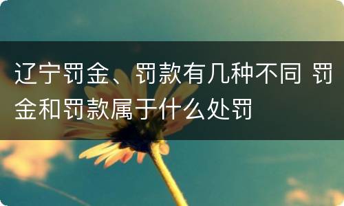 辽宁罚金、罚款有几种不同 罚金和罚款属于什么处罚