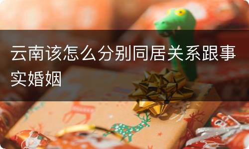 云南该怎么分别同居关系跟事实婚姻
