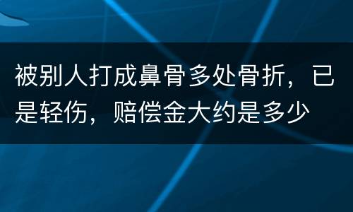 被别人打成鼻骨多处骨折，已是轻伤，赔偿金大约是多少