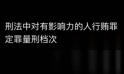 刑法中对有影响力的人行贿罪定罪量刑档次