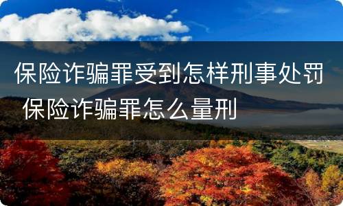 保险诈骗罪受到怎样刑事处罚 保险诈骗罪怎么量刑