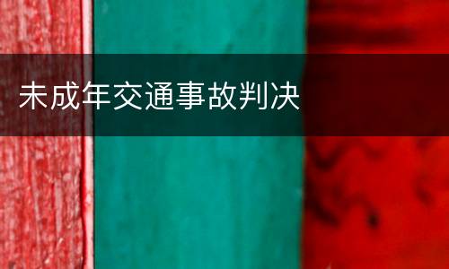 未成年交通事故判决
