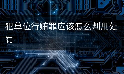 犯单位行贿罪应该怎么判刑处罚