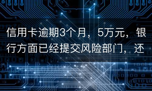 信用卡逾期3个月，5万元，银行方面已经提交风险部门，还不上什么办