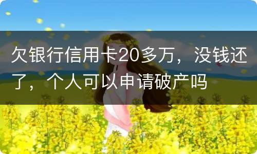 欠银行信用卡20多万，没钱还了，个人可以申请破产吗