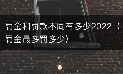 罚金和罚款不同有多少2022（罚金最多罚多少）