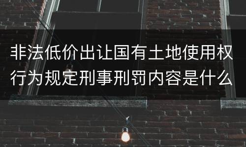 非法低价出让国有土地使用权行为规定刑事刑罚内容是什么样