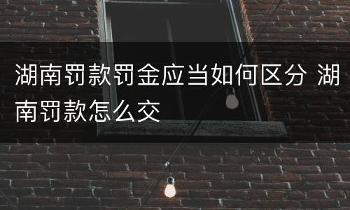 湖南罚款罚金应当如何区分 湖南罚款怎么交