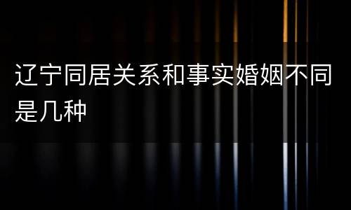 辽宁同居关系和事实婚姻不同是几种